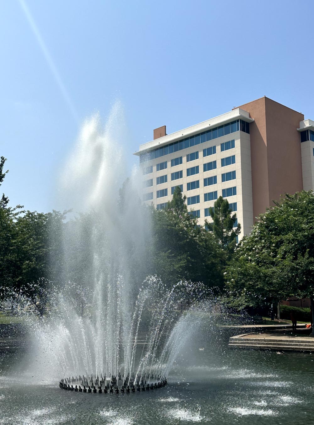 fountain and building