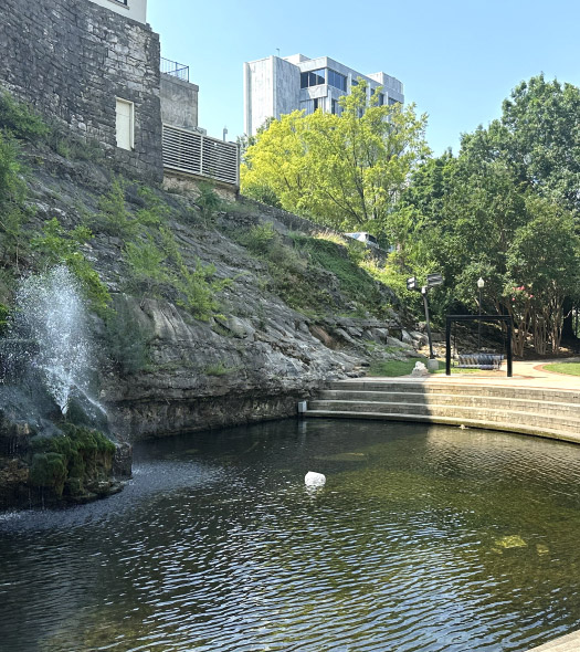 pond at park