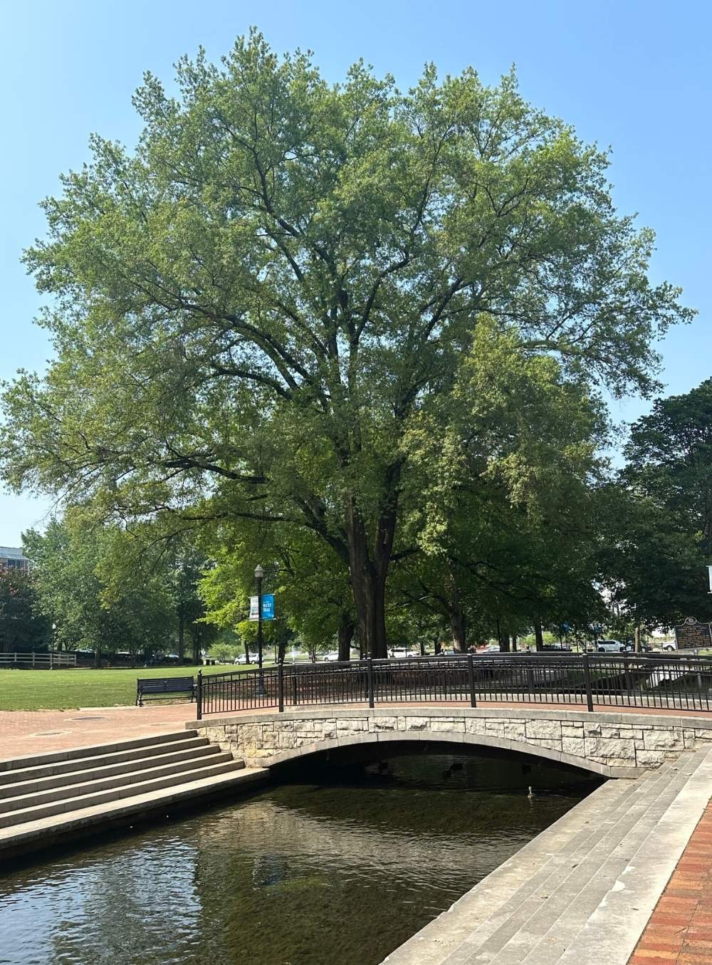 Bridge at Big Spring Park