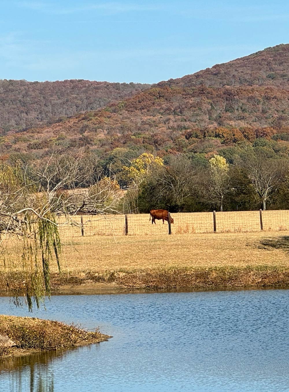 farm and mountains